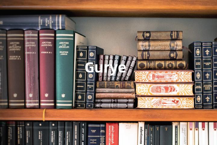 Gurye单词图解，单词释义场景配图