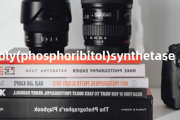 D-Alanyl-poly(phosphoribitol)synthetase单词图解，单词释义场景配图