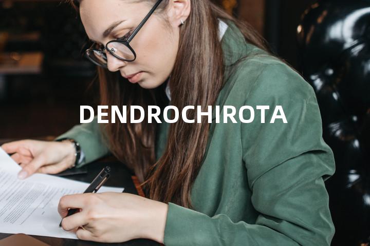 DENDROCHIROTA单词图解，单词释义场景配图