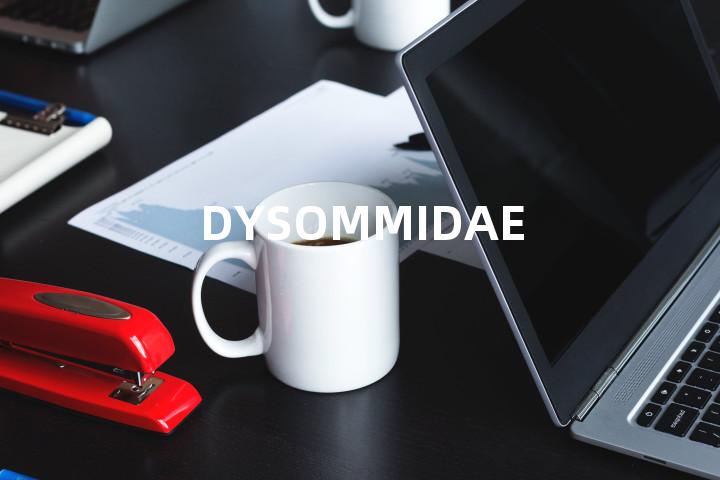 DYSOMMIDAE单词图解，单词释义场景配图