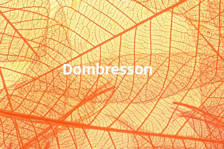 Dombresson单词图解，单词释义场景配图