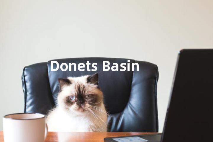 Donets Basin单词图解，单词释义场景配图