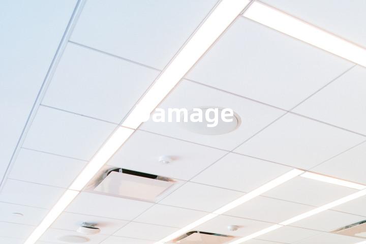 Damage