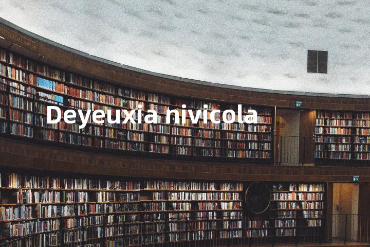Deyeuxia nivicola单词图解，单词释义场景配图