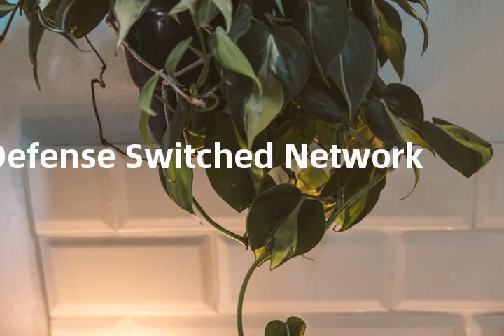 Defense Switched Network单词图解，单词释义场景配图