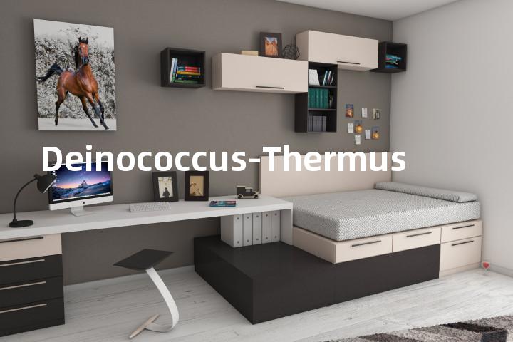Deinococcus-Thermus单词图解，单词释义场景配图