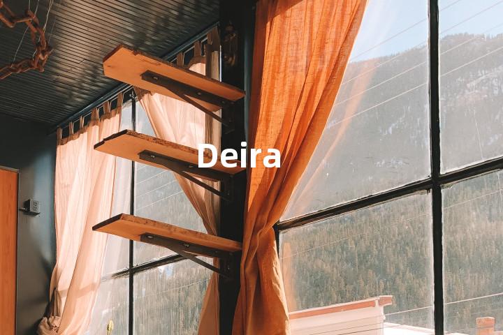 Deira单词图解，单词释义场景配图