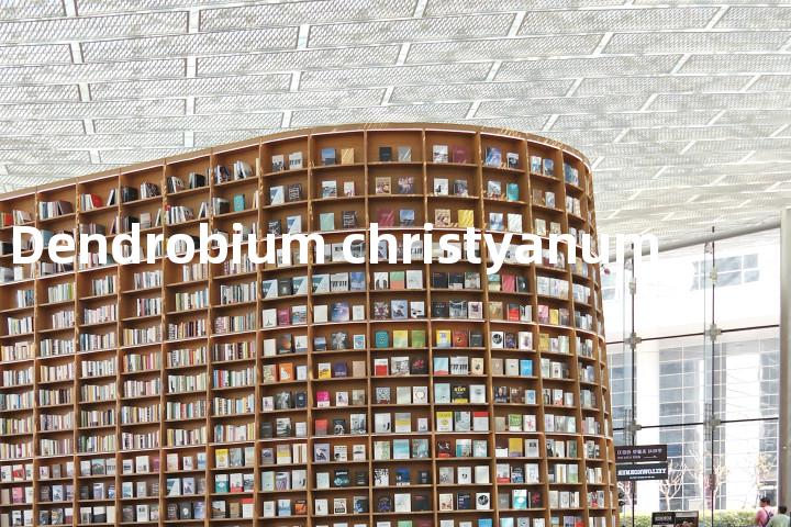 Dendrobium christyanum单词图解，单词释义场景配图