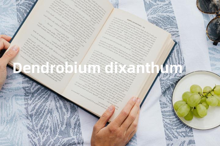 Dendrobium dixanthum单词图解，单词释义场景配图