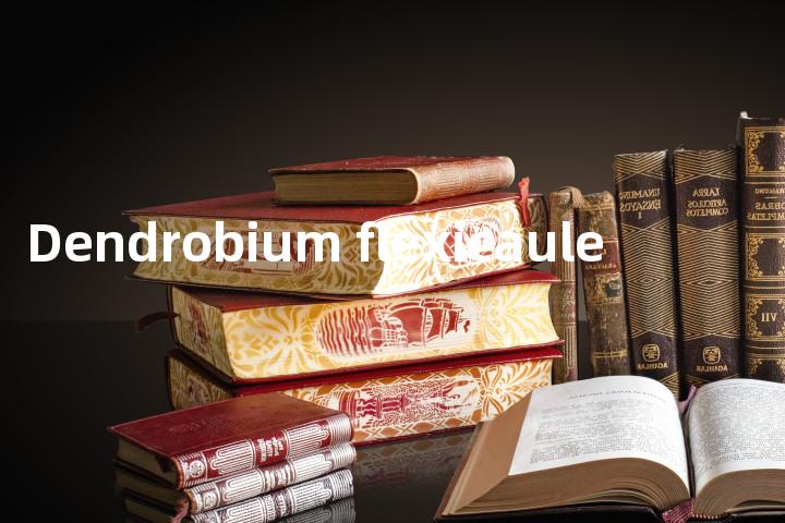 Dendrobium flexicaule单词图解，单词释义场景配图