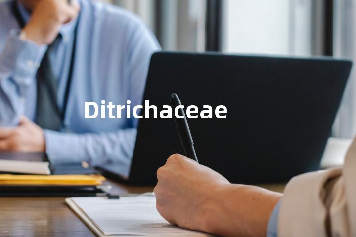 Ditrichaceae单词图解，单词释义场景配图