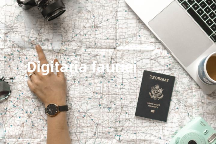 Digitaria fauriei单词图解，单词释义场景配图