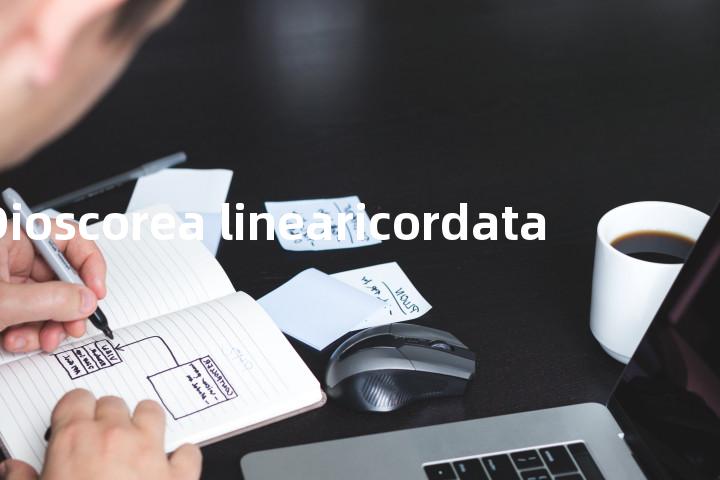 Dioscorea linearicordata单词图解，单词释义场景配图