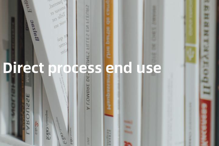 Direct process end use单词图解，单词释义场景配图