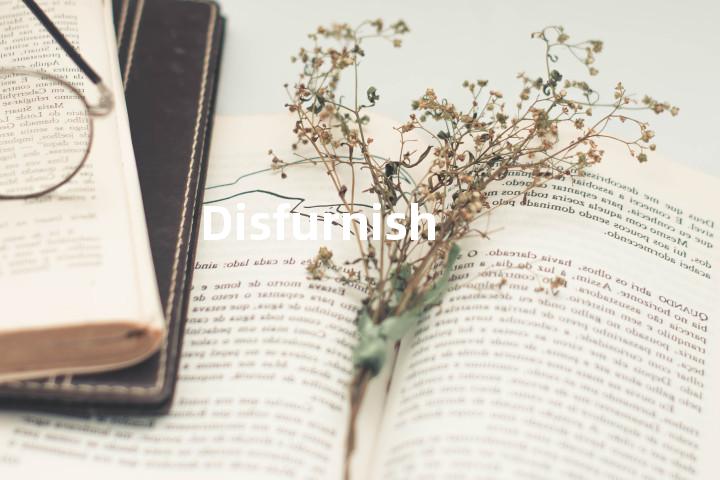 Disfurnish