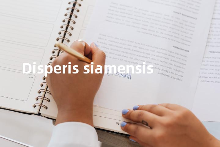 Disperis siamensis单词图解，单词释义场景配图