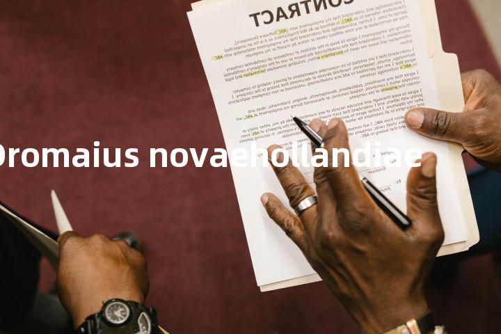 Dromaius novaehollandiae单词图解，单词释义场景配图