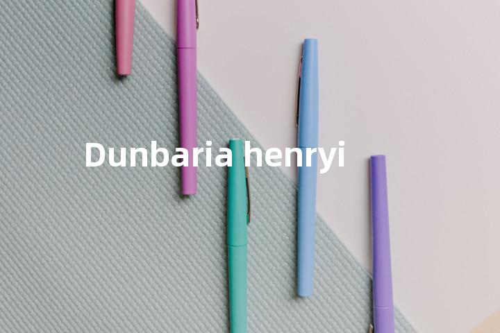 Dunbaria henryi单词图解，单词释义场景配图
