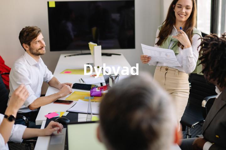 Dybvad单词图解，单词释义场景配图