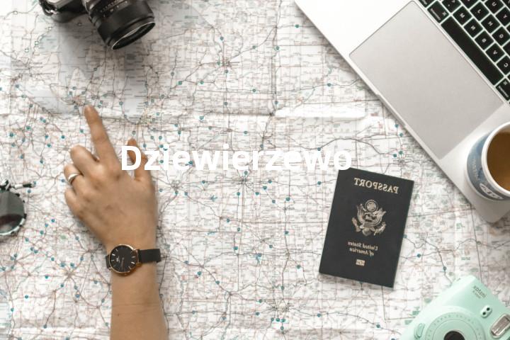 Dziewierzewo单词图解，单词释义场景配图