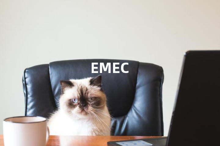 EMEC单词图解，单词释义场景配图