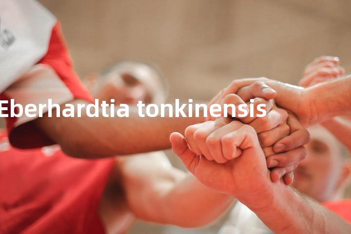 Eberhardtia tonkinensis单词图解，单词释义场景配图
