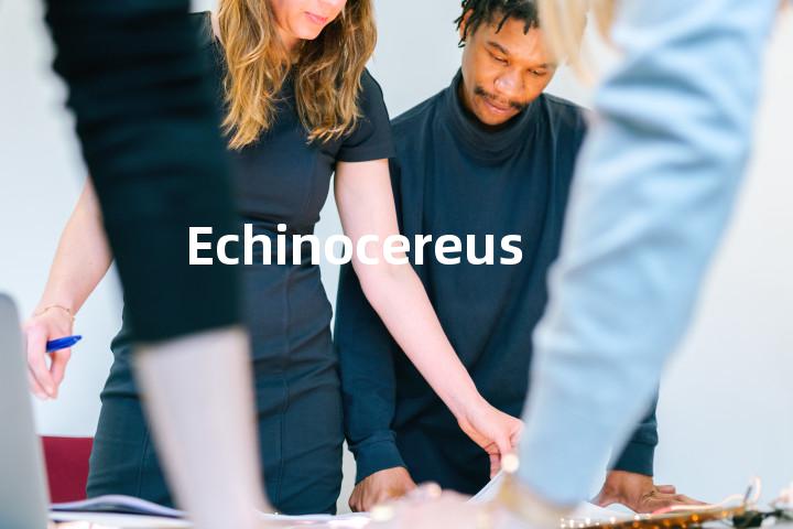 Echinocereus单词图解，单词释义场景配图