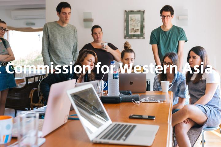 Economic Commission for Western Asia单词图解，单词释义场景配图