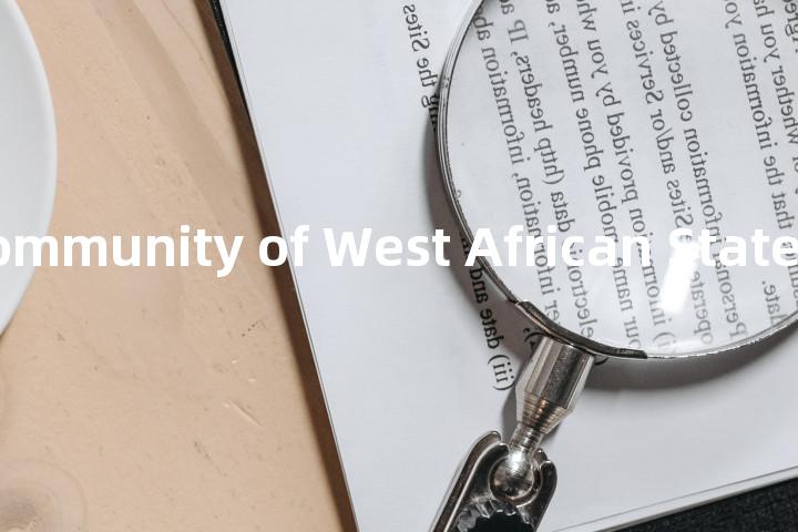 Economic Community of West African States单词图解，单词释义场景配图
