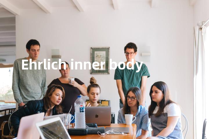 Ehrlich inner body单词图解，单词释义场景配图