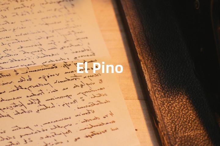 El Pino单词图解，单词释义场景配图