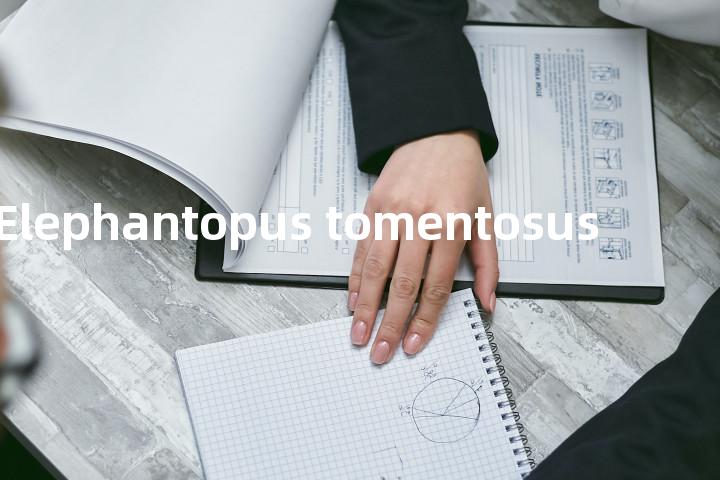 Elephantopus tomentosus单词图解，单词释义场景配图
