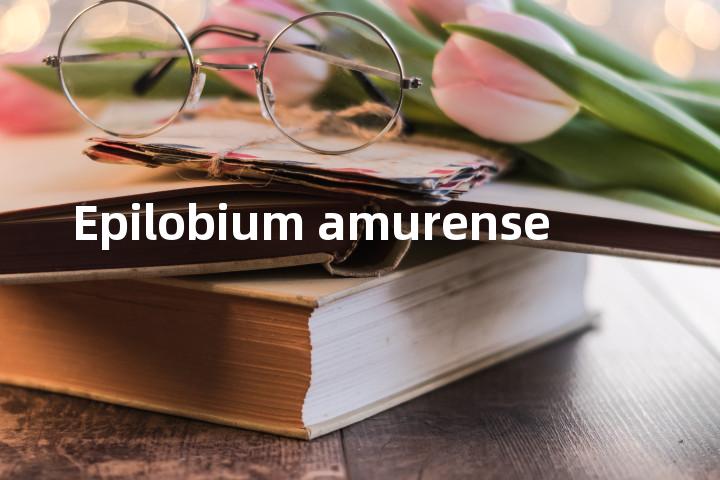 Epilobium amurense单词图解，单词释义场景配图