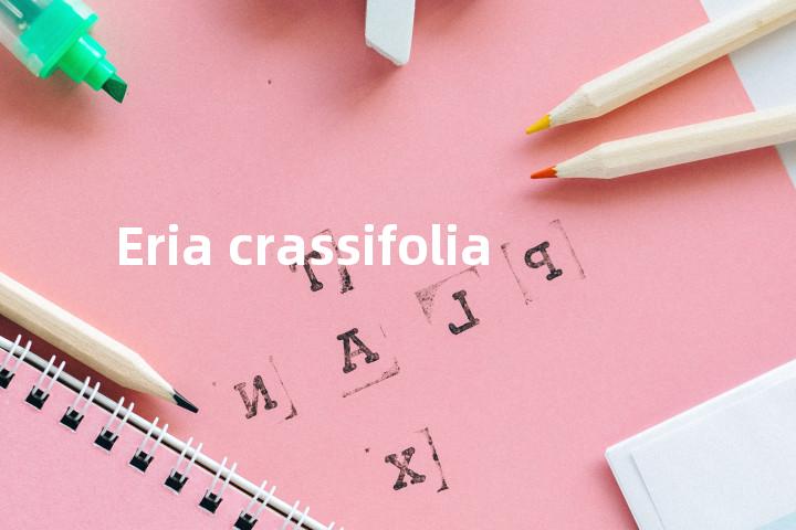 Eria crassifolia单词图解，单词释义场景配图