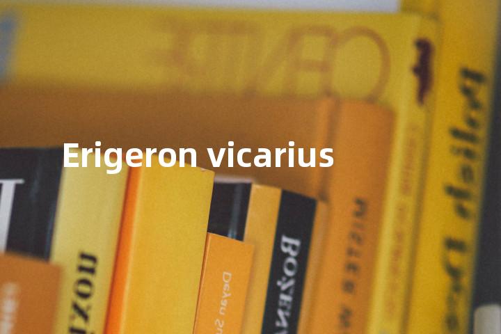Erigeron vicarius单词图解，单词释义场景配图