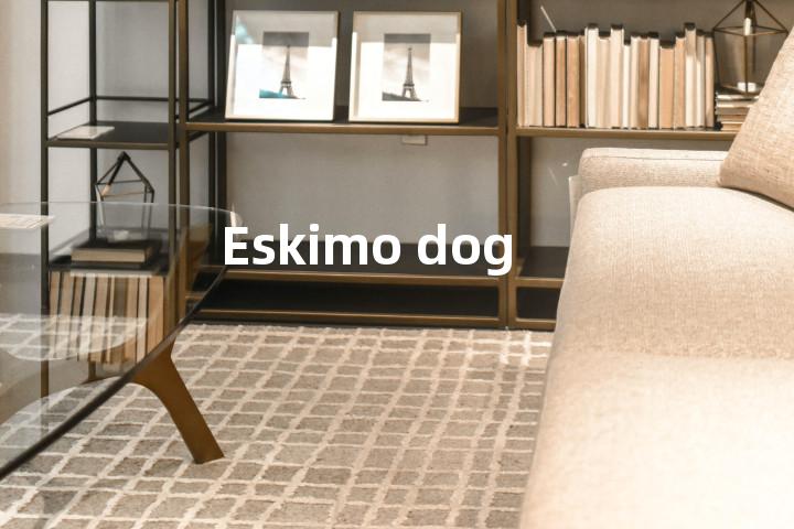Eskimo dog单词图解，单词释义场景配图