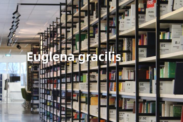 Euglena gracilis单词图解，单词释义场景配图