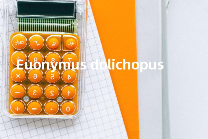 Euonymus dolichopus单词图解，单词释义场景配图