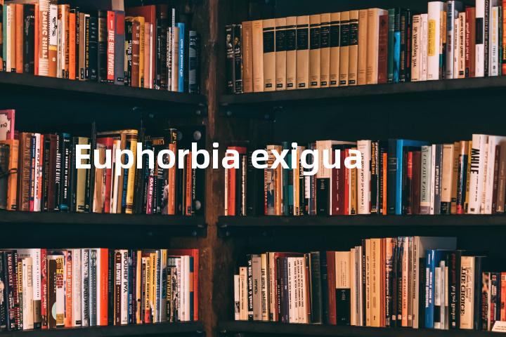 Euphorbia exigua单词图解，单词释义场景配图