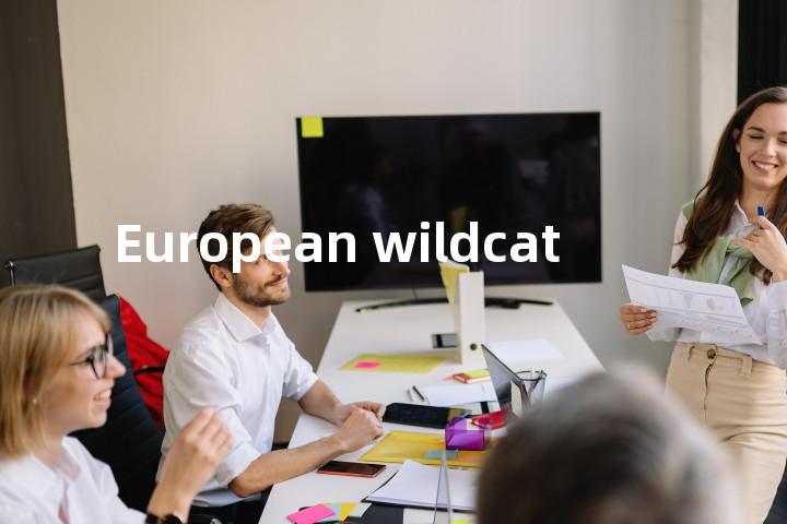 European wildcat单词图解，单词释义场景配图
