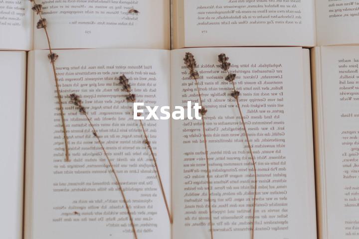 Exsalt单词图解，单词释义场景配图