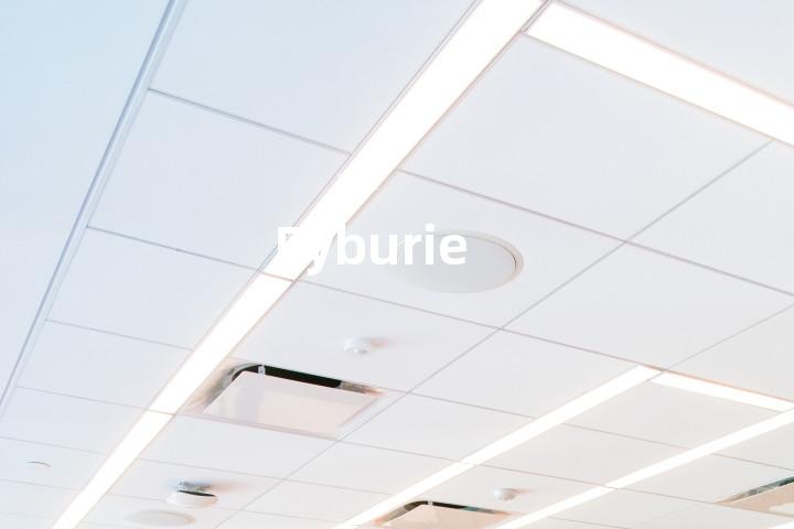 Eyburie单词图解，单词释义场景配图