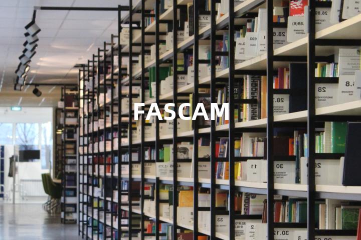 FASCAM单词图解，单词释义场景配图