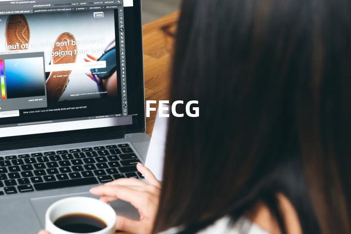 FECG单词图解，单词释义场景配图