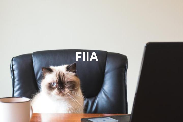 FIIA单词图解，单词释义场景配图