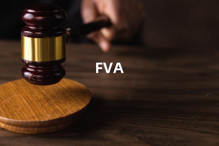 FVA单词图解，单词释义场景配图
