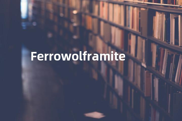 Ferrowolframite单词图解，单词释义场景配图