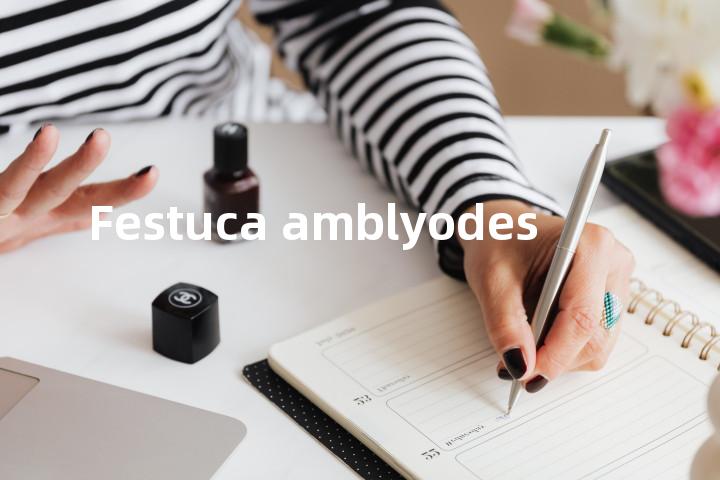 Festuca amblyodes单词图解，单词释义场景配图
