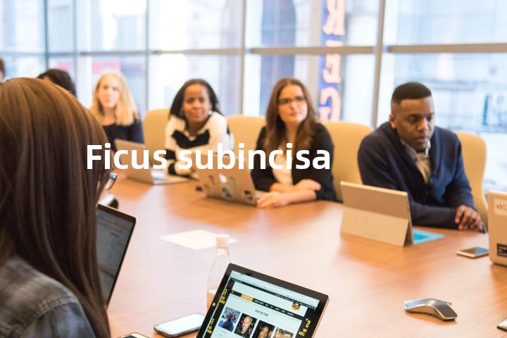 Ficus subincisa单词图解，单词释义场景配图