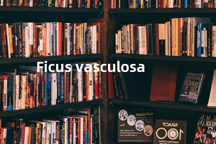 Ficus vasculosa单词图解，单词释义场景配图